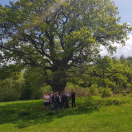 Ausflug unserer Ehrenamtlichen Hospizhelfer/innen zum Baumkronenpfad in den Nationalpark Hainich