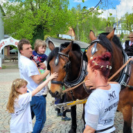 KLL 2022 Erlbach, Gläserner Bauernhof Siebenbrunn am 9.5.22